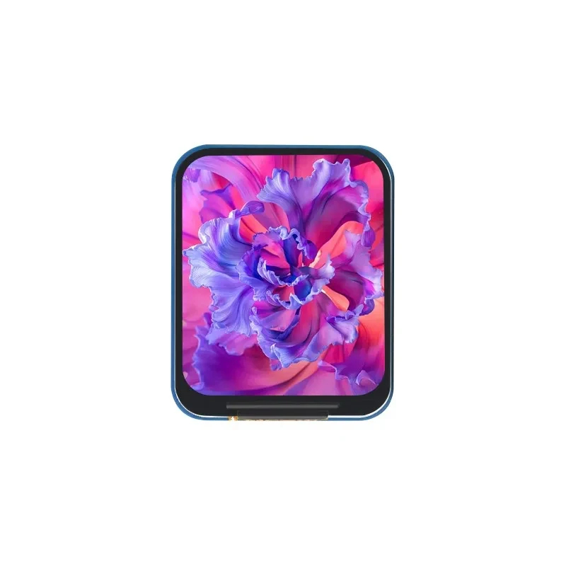 1.69 インチ IPS LCD モジュール ST7789V - Raspberry Pi Zero のレビューと価格